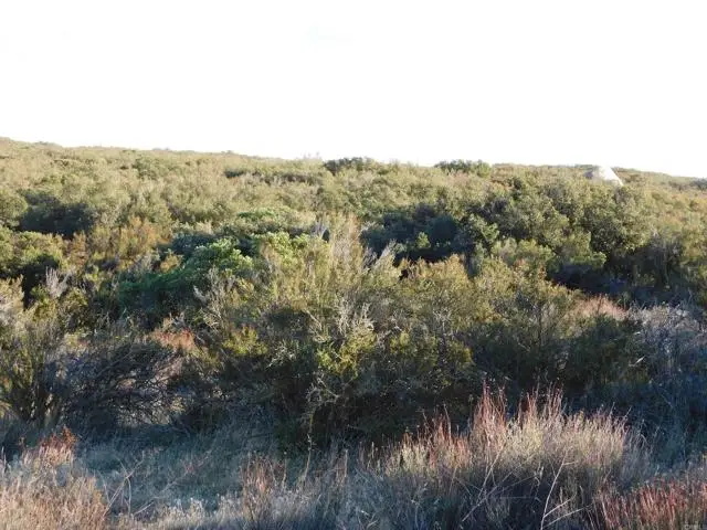 34711 Old Hwy 80, Pine Valley, CA 91962 - Image #3