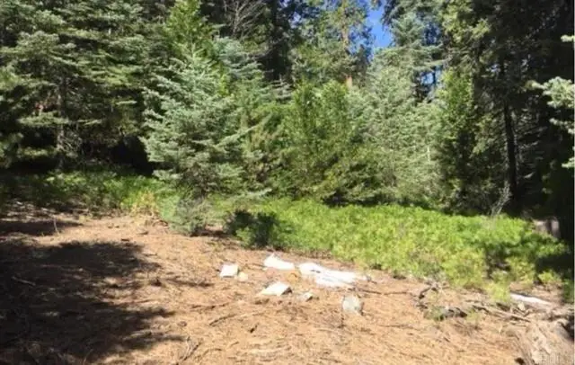 Stonehill Drive, Lake Arrowhead, CA 92385 - Image #2