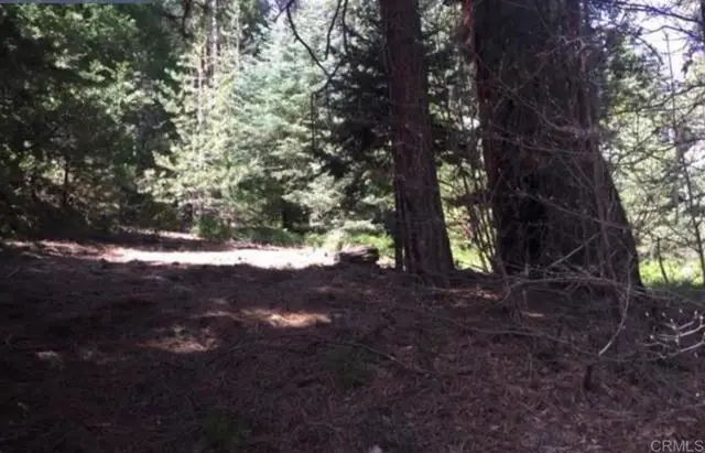 Stonehill Drive, Lake Arrowhead, CA 92385 - Image #3