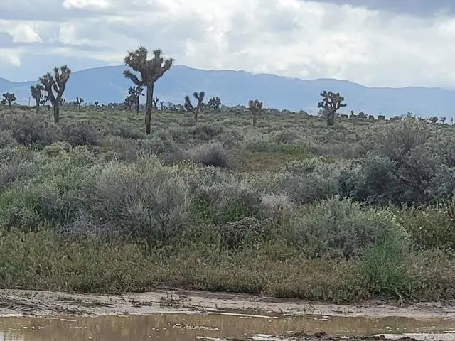 0 E Ave H, Lancaster, CA 93535 - Image #1