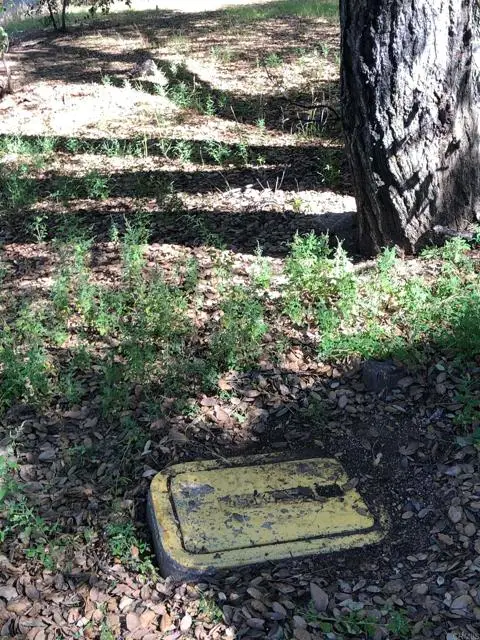 8347 Foothill Blvd, Pine Valley, CA 91962 - Image #3