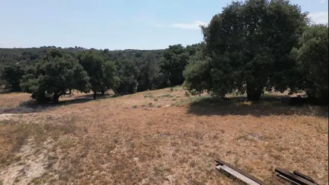 Avenida De Robles Verdes, Boulevard, CA 91905 - #1