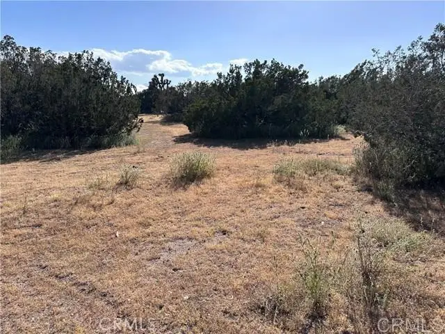 Daisy Road, Oak Hills, CA 92344 - #2