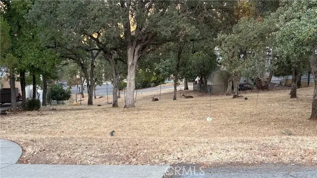 34 Coho Court, Oroville, CA 95966 - #3