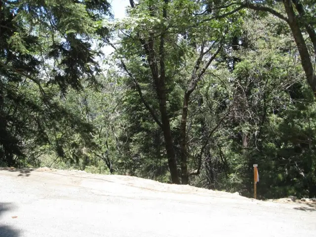 0 Forest Lane, Twin Peaks, CA 92391 - Image #1