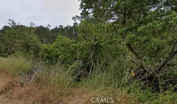 2977 Ramsey Street, Cambria, CA 93428