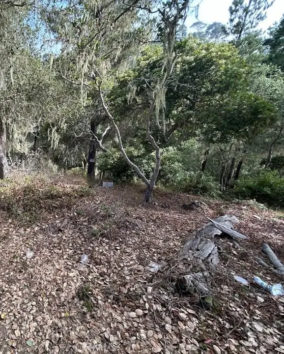 2812 Ramsey Road, Cambria, CA 93428