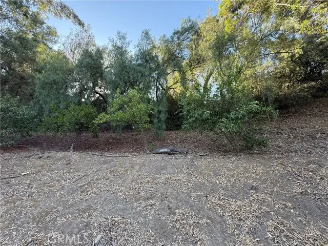 2240 Valle Drive, La Habra Heights, CA 90631 - Image #3