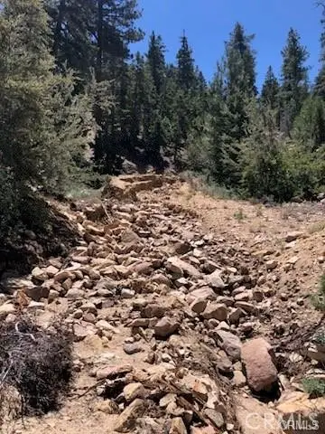 0 Rainbow Lane, Angelus Oaks, CA 92305 - Image #2