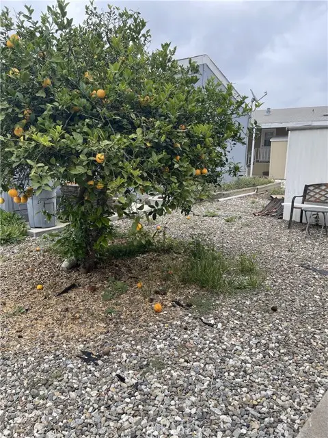 13 Palm Via, Anaheim, CA 92801 - Image #3