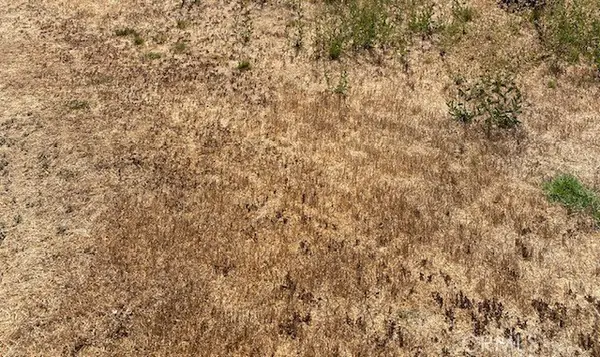 0 Sewanee Drive, Borrego Springs, CA 92004