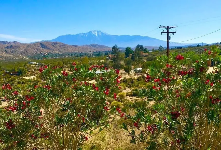 8787 Via La Scala, Morongo Valley, CA 92256 - Image #2