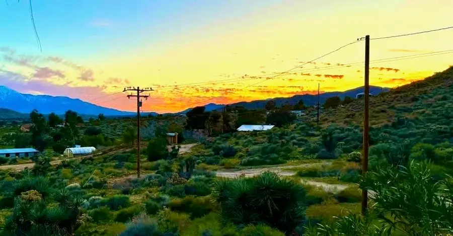 8787 Via La Scala, Morongo Valley, CA 92256 - Image #3