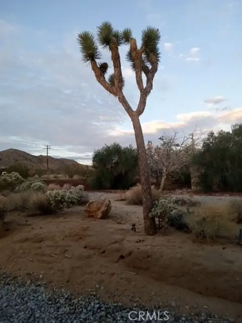 60194 La Mirada Trail, Joshua Tree, CA 92252 - Image #3