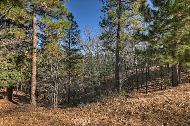 0 Lucerne Lane, Lake Arrowhead, CA 92352 - Image #3