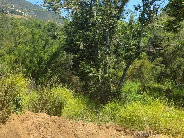 0 Sombrero Road, Fallbrook, CA 92028 - Image #3