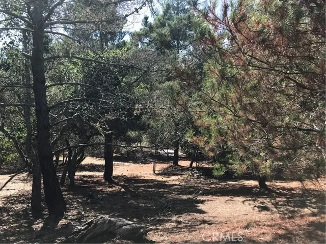 0 Tully Place, Cambria, CA 93428 - Image #1