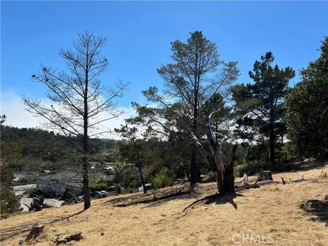 4925 Grove Street, Cambria, CA 93428 - Image #2