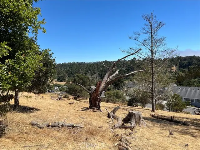 4925 Grove Street, Cambria, CA 93428 - Image #3