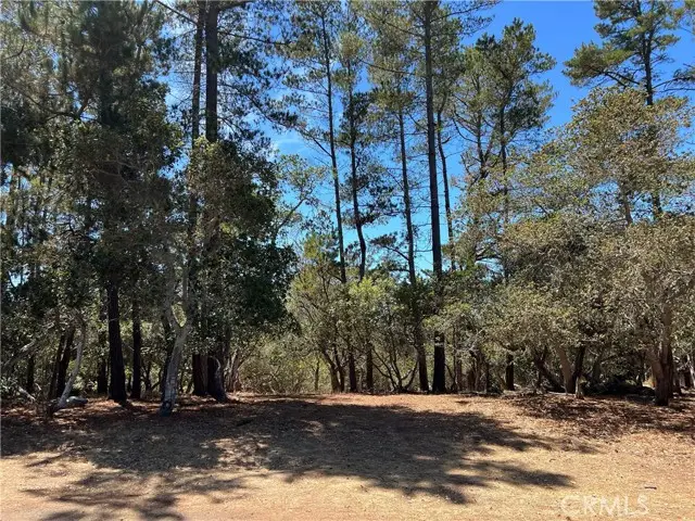 1865 Dreydon Avenue, Cambria, CA 93428 - Image #2