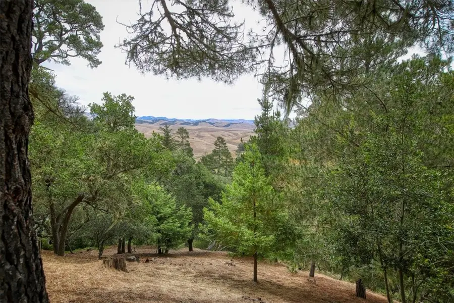 1400 Spencer Street, Cambria, CA 93428 - Image #3