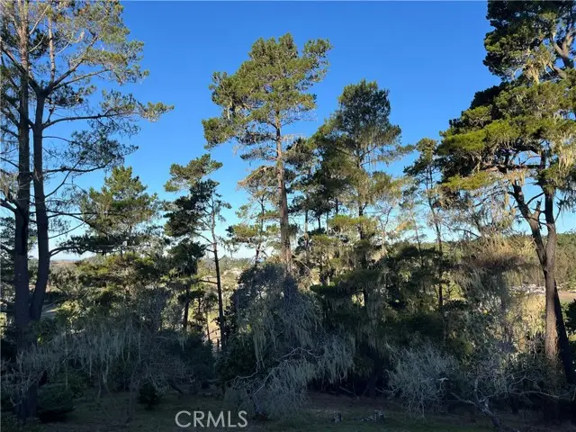 3235 Rogers, Cambria, CA 93428 - #1