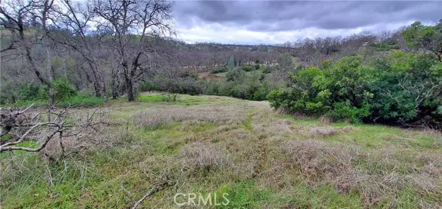 6960 Cougar Drive, Corning, CA 96021 - Image #2