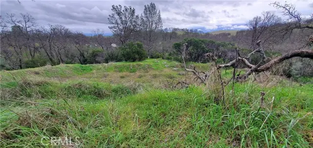 6960 Cougar Drive, Corning, CA 96021 - Image #3