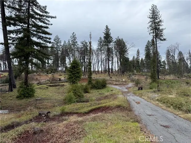 1037 Thomasson Lane, Paradise, CA 95969 - Image #2