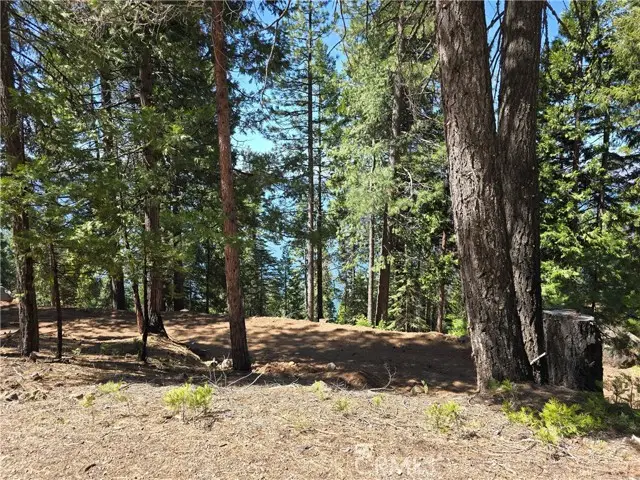 777 Lassen View Drive, Lake Almanor, CA 96137 - Image #3