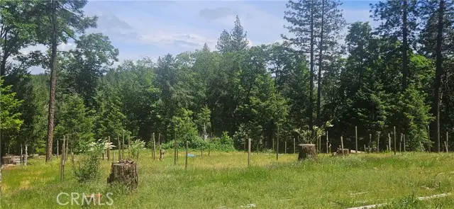 0 Little Bend Circle, Yankee Hill, CA 95965 - Image #3