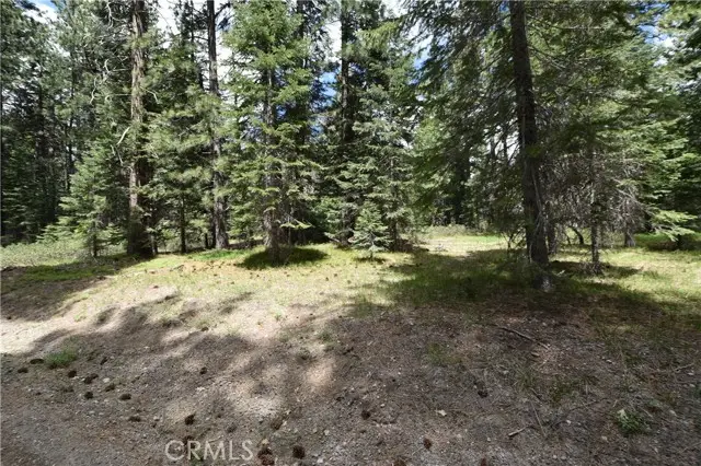 0 Fumarole Ct Court, McCloud, CA 96057 - Image #2