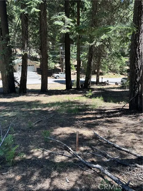 631 Cedar Canyon Road, Westwood, CA 96137 - Image #2