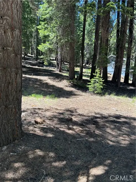 631 Cedar Canyon Road, Westwood, CA 96137 - Image #3