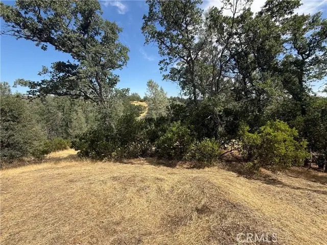 16318 Longhorn Lane, Corning, CA 96021 - Image #2