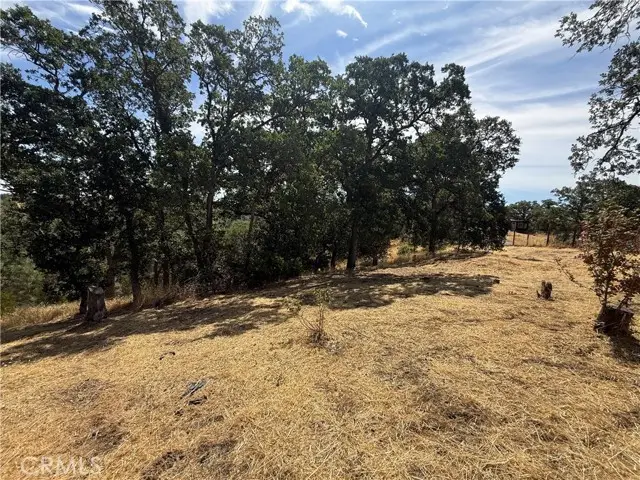 16318 Longhorn Lane, Corning, CA 96021 - Image #3