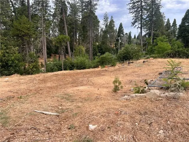 1770 Forest Glen Road, Paradise, CA 95969 - Image #3