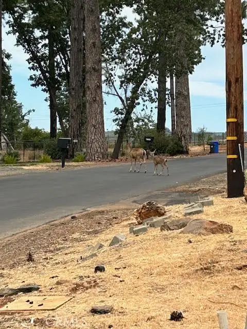 6288 W Wagstaff Road, Paradise, CA 95969 - Image #2