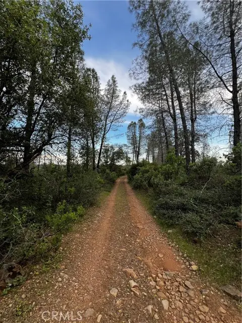 0 Donkey Mine Road, Oak Run, CA 96069 - Image #1