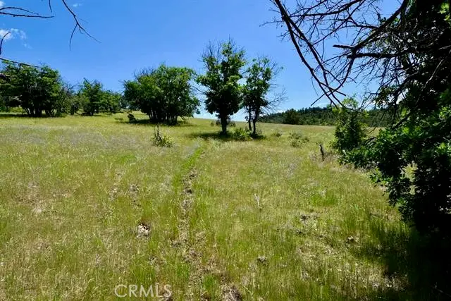 0 Yellow Dog Trail, Hornbrook, CA 96044 - Image #3