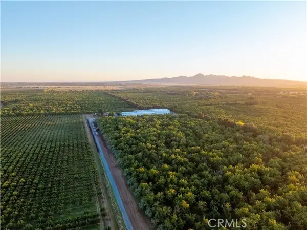 459 W Evans Reimer Road, Gridley, CA 95948