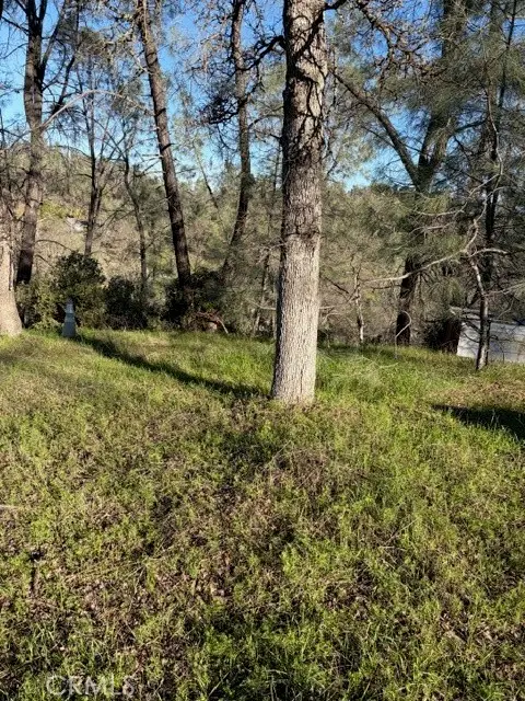 7098 Corral, Corning, CA 96021 - #3