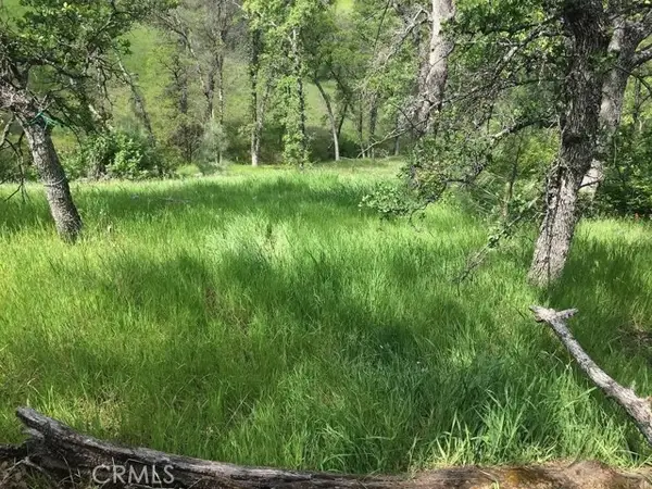 16368 Lariat, Corning, CA 96021