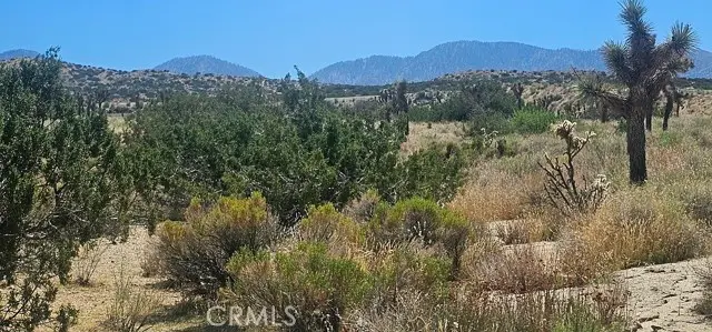 0 Avenue X / 136th St E, Pearblossom, CA 93553 - Image #1