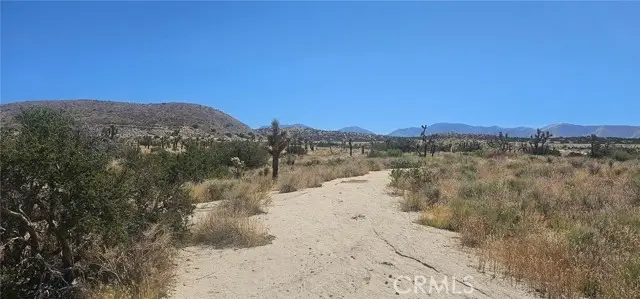 0 Avenue X / 136th St E, Pearblossom, CA 93553 - Image #2