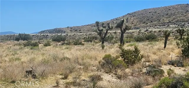 0 Avenue X / 136th St E, Pearblossom, CA 93553 - Image #3