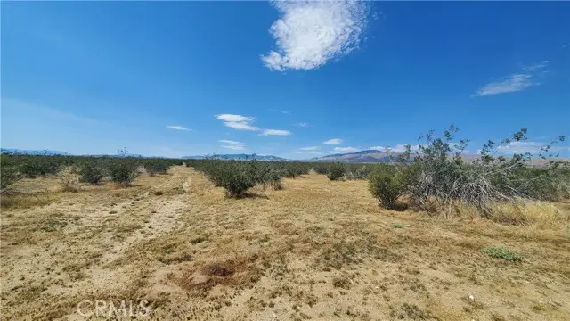 0 Budlong Ave & 114th St West, Rosamond, CA 93560 - Image #1