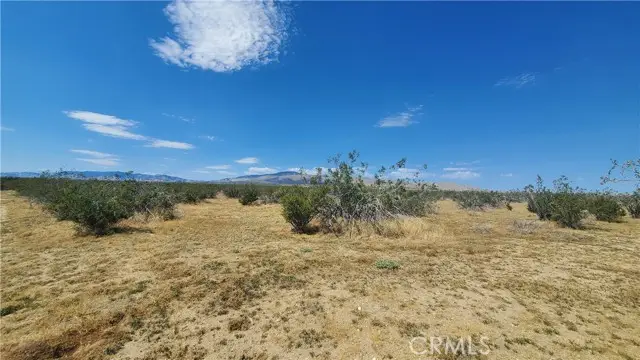 0 Budlong Ave & 114th St West, Rosamond, CA 93560 - Image #2