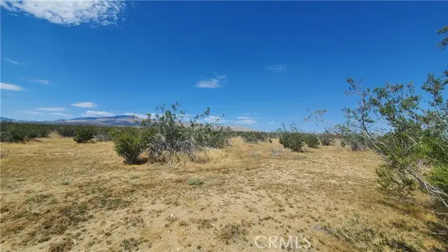 0 Budlong Ave & 114th St West, Rosamond, CA 93560 - Image #3