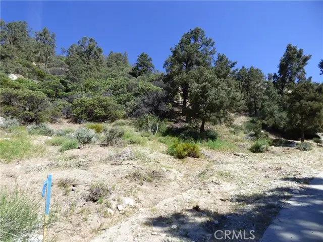 0 Escolon Trail, Frazier Park, CA 93225 - Image #2